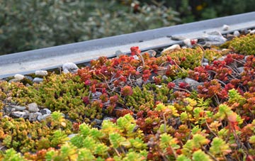 the cost of Kilberry green roof installation