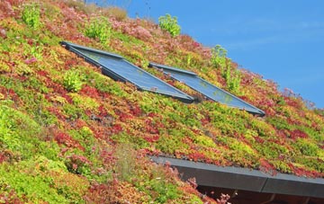 Kilberry living roof systems